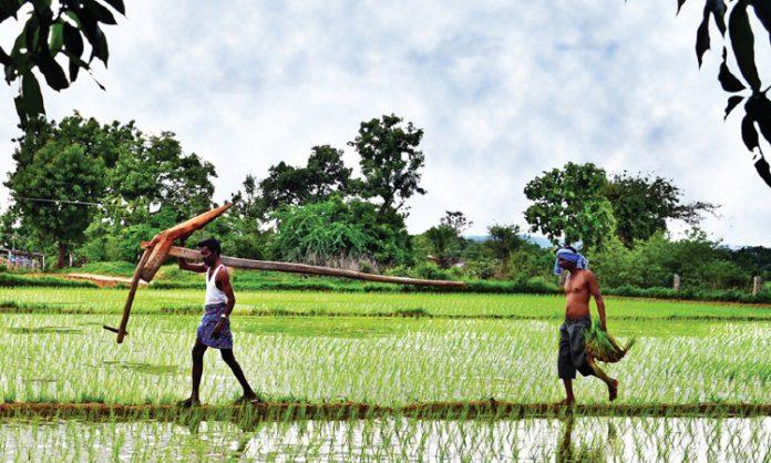 Rythu Bandhu for New patta pass book farmers