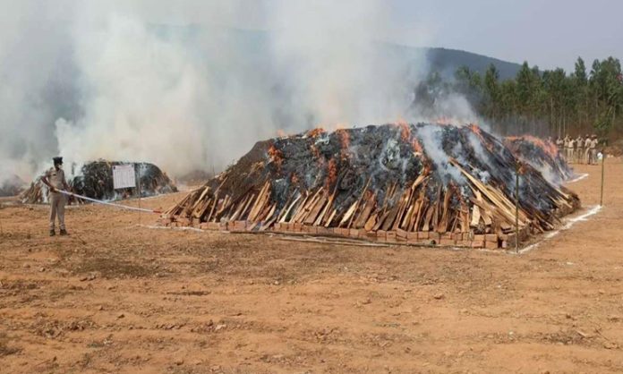 AP Police set fire for 2 lakh kg ganja