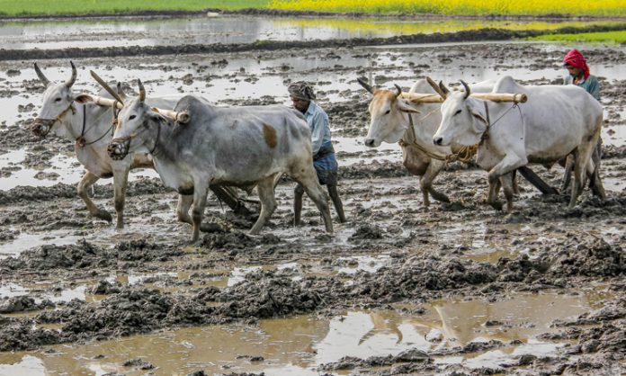 TS Govt distributes Rythu Bandhu from Dec 28