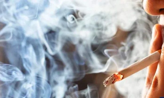 New zealand smoking ban law