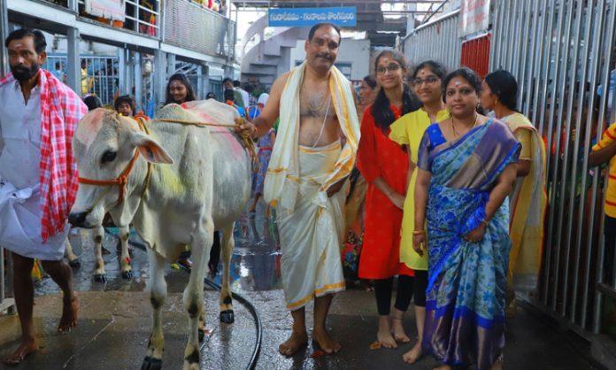 huge devotees visit Vemulawada Rajanna Temple