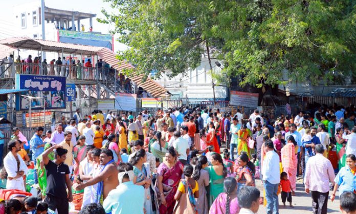 Huge devotees visit Rajanna Temple