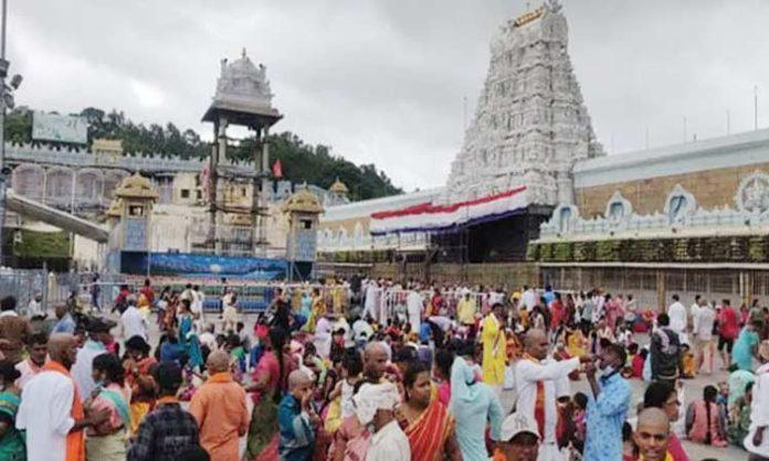 Today Tirumala Temple Information