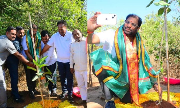 MP Ravi chandra plant trees