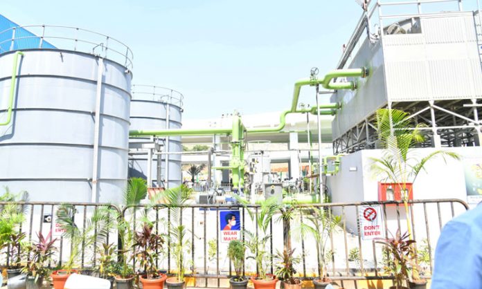 Energy Plants