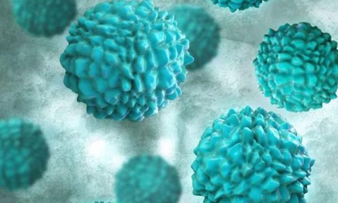 Norovirus in Kerala