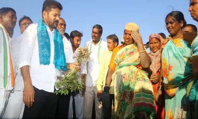 Revanth Reddy Padayatra starts from Madanapally