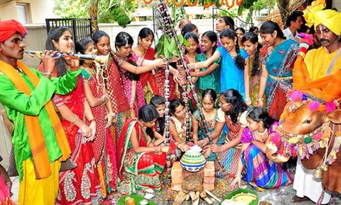 Sankranti Culture