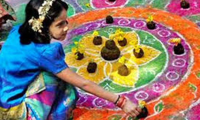 sankranti celebrations in telugu