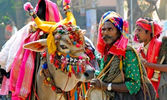 sankranti gangireddu story in telugu