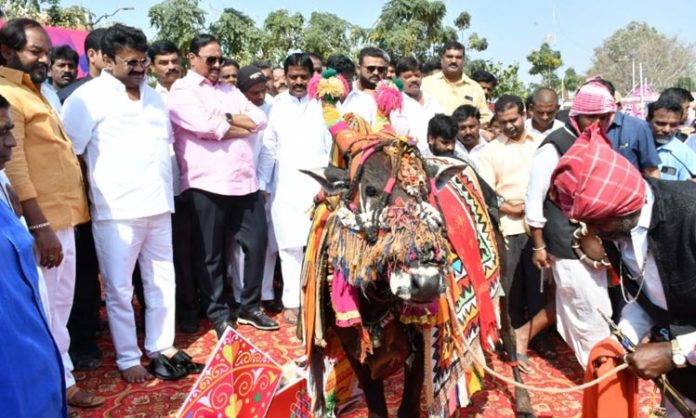 Sankranti story in telugu