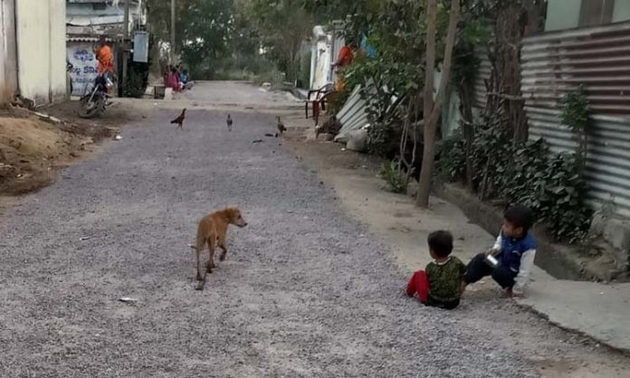 Dog-attack-on-child-hyderab