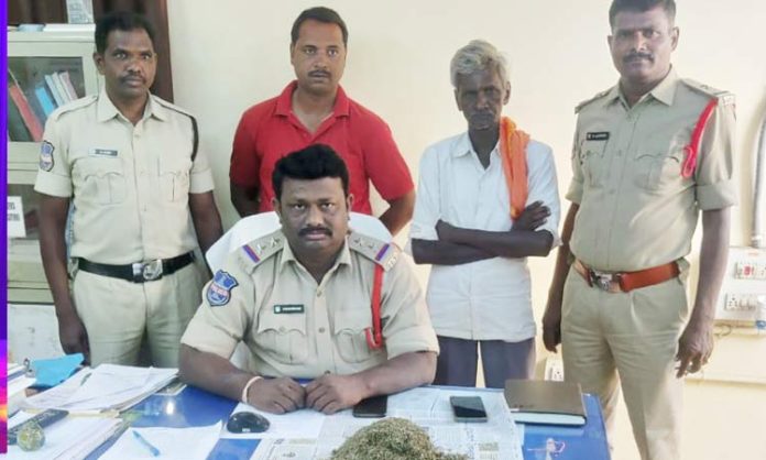 Two arrested for selling ganja in Chegunta