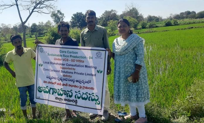 Understanding of wet and dry cultivation system in rice