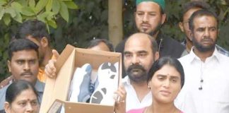 BRS MP Maloth Kavitha Counter To YS Sharmila