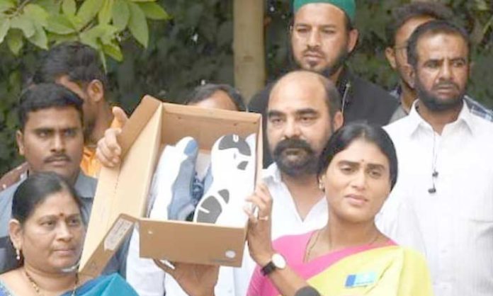 BRS MP Maloth Kavitha Counter To YS Sharmila