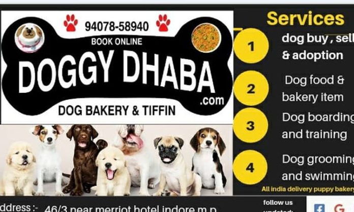 Doggy Dhaba for dogs