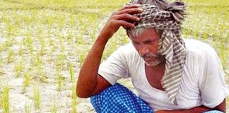 farmers suicides decreased in Telangana: Centre
