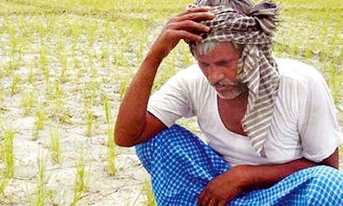 farmers suicides decreased in Telangana: Centre