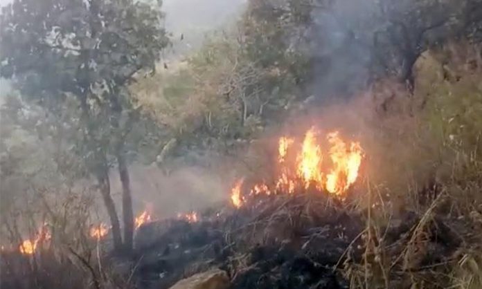 Fire accident in forest