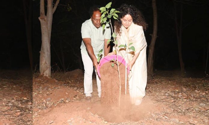 Bollywood actress Kangana Ranaut who planted saplings
