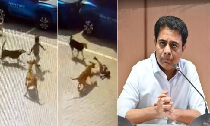 KTR Reacts on Street dogs attack boy