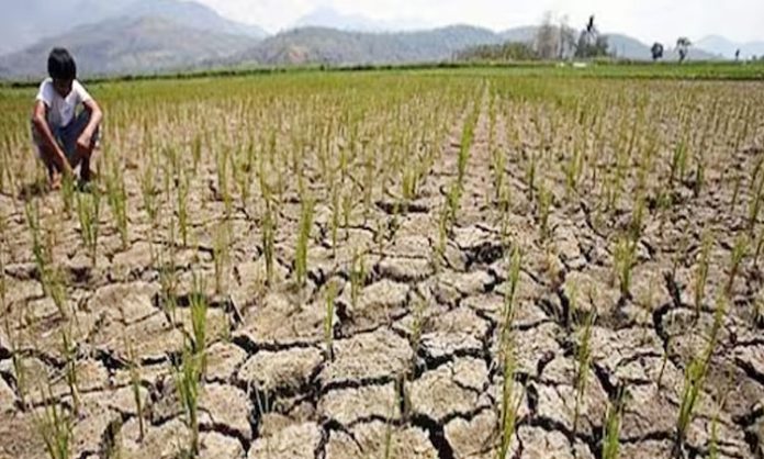 Rainfall will decrease due to the effect of El Nino