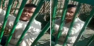 UP man falls in leopard cage