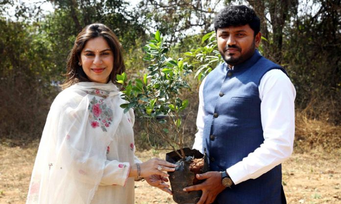 Apollo Foundation and AP forest department to plant 90000 trees