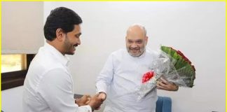 AP CM Jagan Mohan Reddy met with Amit Shah