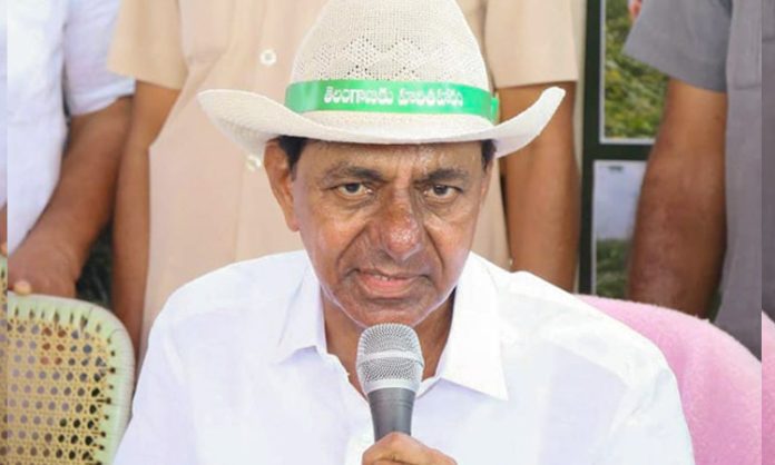 CM KCR to Visit Rain Affected Areas