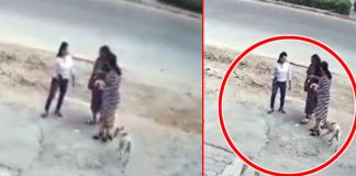 Dog attack on young women in Nanakramguda