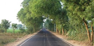 Foreigner runs naked on Gurugram road