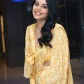 Actress Bindhu Madhavi Photos