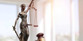 Judge