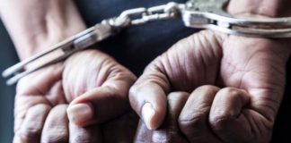 Sandalwood thief found after 39 years
