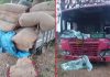 TSRTC Bus Hits TATA Ace Vehicle in Warangal