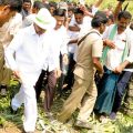 CM KCR tour hailstorm affected areas