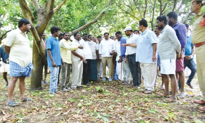 Minister Dayakar Rao inspected the crop damage