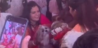 Dogs wedding