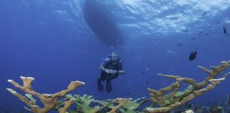 Undersea research for drugs