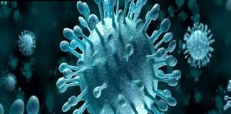 Influenza Virus Cases rising in India