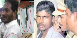 Kodikatthi case