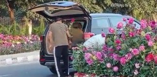 one arrested for stealing flower pots