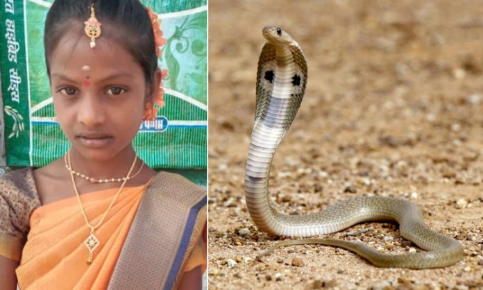 Student ends life as snake bite in Wanaparthy