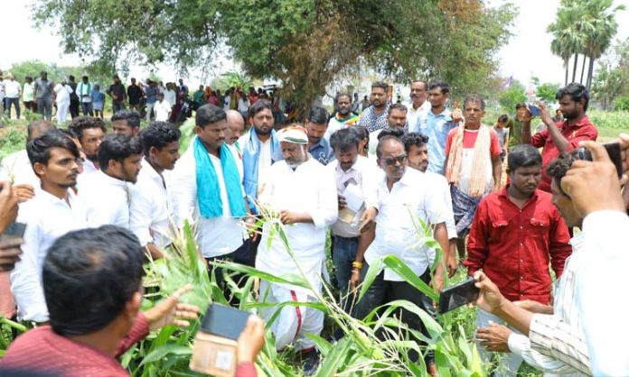 Bhatti vikramarka padayatra