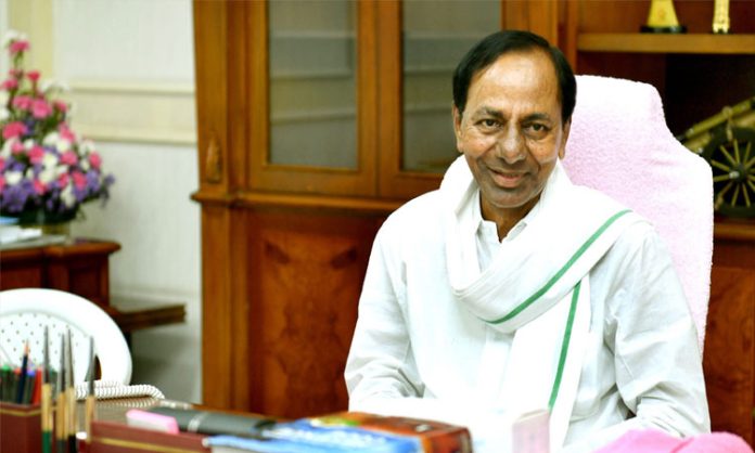 CM KCR to launch 2nd phase sheep distribution in Mancherial