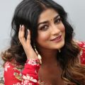 Actress Dimple Hayathi Photos