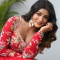 Actress Dimple Hayathi Photos