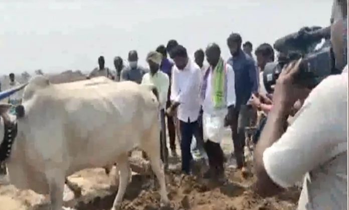 Nara Lokesh Yuvagalam Padayatra in Aspari